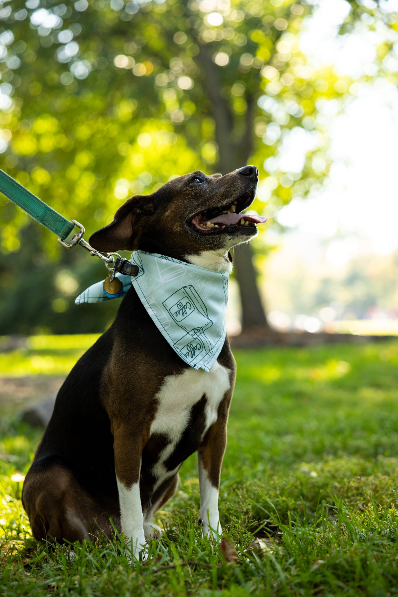 "Coffee Sidekick" Bandana