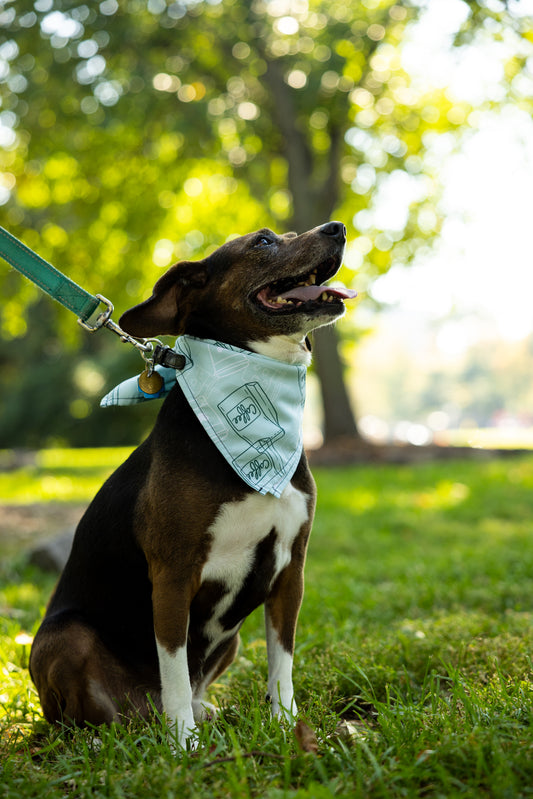 "Coffee Sidekick" Bandana