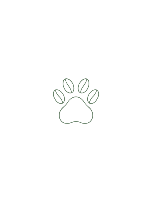 Toe Beans & Co.